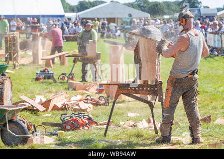 Tabley, Cheshire, UK. 25th Aug, 2019. The 15th English Open Chainsaw Competition at the Cheshire County Showground, England - competitors compete against each other in the 30 minute challenge Credit: John Hopkins/Alamy Live News Stock Photo