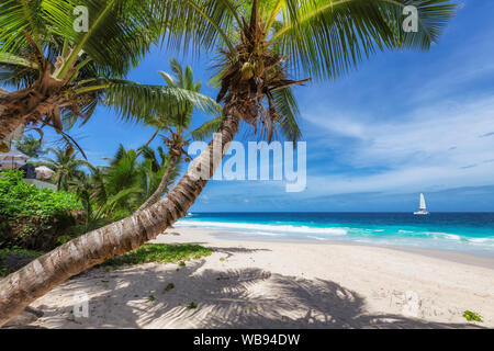 Tropical beach with coco palm and a sailing boat in the turquoise sea. Stock Photo