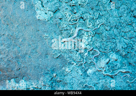 turquoise background with abstract pattern Stock Photo