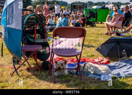 People and pets trying to shelter from very hot weather, Harrogate Food and Drink Festival, Ripley, Harrogate, UK, 25 August 2019 Stock Photo