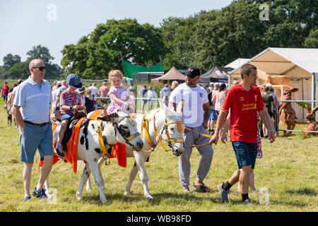 Tabley, Cheshire, UK. 25th Aug, 2019. The 15th English Open Chainsaw Competition at the Cheshire County Showground, England - families were able to entertain their children with donkey rides Credit: John Hopkins/Alamy Live News Stock Photo