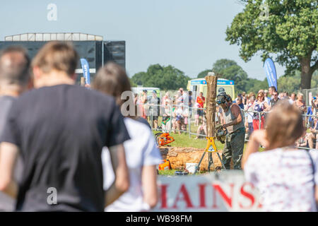 Tabley, Cheshire, UK. 25th Aug, 2019. The 15th English Open Chainsaw Competition at the Cheshire County Showground, England - crowds gather round to watch the 30 minute challenge competition Credit: John Hopkins/Alamy Live News Stock Photo