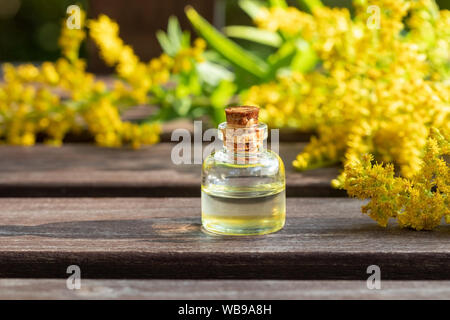 A bottle of Canadian goldenrod essential oil with fresh blooming Solidago canadensis plant Stock Photo