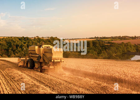 Rear aerial shot of a Combine Harvester harvesting a wheat field at Sunset in the UK Stock Photo