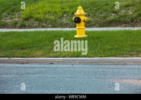 Yellow fire hydrant on grass by the roadside on a street of Toronto, Canada Stock Photo