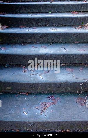 Old worn wet concrete steps in autumn UK