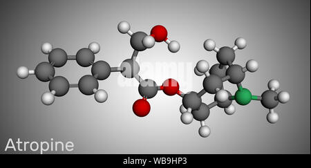 Atropine drug molecule. It is plant alkaloid. Molecule model. Illustration, 3D rendering Stock Photo