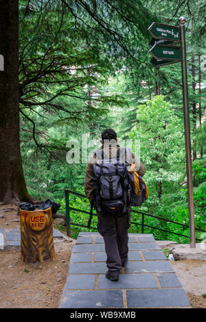 Manali, Himachal Pradesh, India - May 07, 2019 : backpacker in van vihar national park in himalayas - Stock Photo