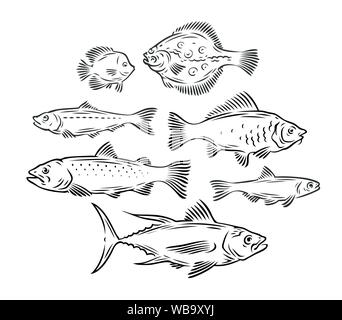 Various fish set. Seafood, fishing sketch vector illustration Stock Vector