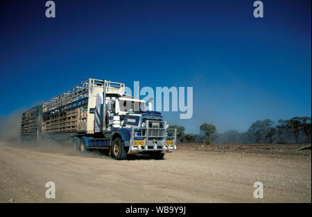 Road train transporting cattle, up to 53 m long and up to 115 tonnes in weight. Western Queensland, Australia Stock Photo