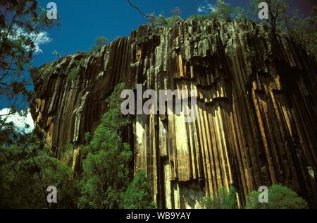 The Sawn Rocks, columnar basalt 21 million years old. Mount Kaputar National Park, New South Wales, Australia Stock Photo