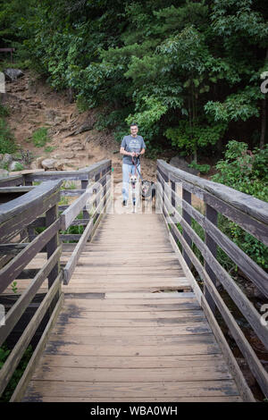 A summer walk at Paris Mountain State Park on a cloudy day in Greenville, South Carolina, USA. Stock Photo