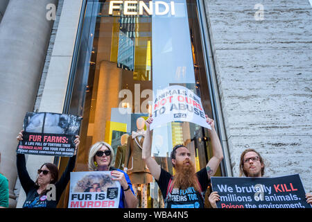 New York, United States. 25th Aug, 2019. Animal Liberation activists targeted luxury fashion brands DIOR, FENDI, and D&G retail stores in New York on August 25, 2019 closing out the Official Animal Rights March weekend by sending a loud and powerful message to fur peddlers in NYC demanding they stop selling real fur and to stop killing animals for their fur. (Photo by Erik McGregor/Pacific Press) Credit: Pacific Press Agency/Alamy Live News Stock Photo
