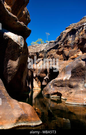 Cobbold Gorge, extremely narrow, in places merely two metres wide, with spectacular 30-m cliffs.    A series of waterholes and rock falls extends for Stock Photo