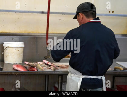 Seafood market worker gutting and cleaning fish prior to weighing and passing it on to a waiting customer. Stock Photo
