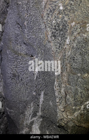 Gray spotted abstract stone textured background. Rock formations in the cave. Stock Photo