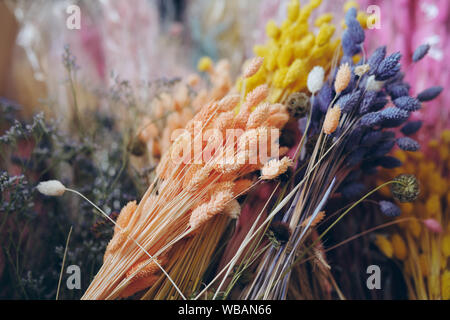 Close-up of beautiful dried grass flower bunches placed in flower Stock Photo