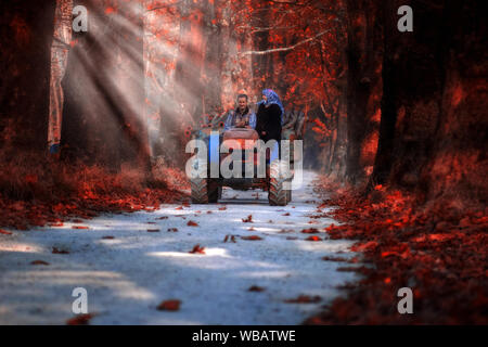 Husband and wife on tractor trailer in autumn Stock Photo