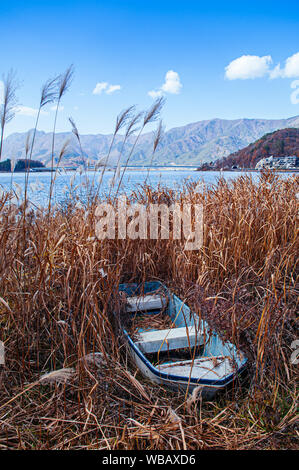 Old broken row boat were stranded stuck on Kawaguchiko lake shore overgrown with tall dry grass Stock Photo