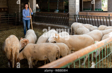 Young female farmer engaged in sheeps breeding, cleaning sheep barn Stock Photo