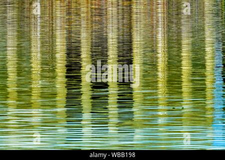 Abstract Background Reflection Lincoln Memorial Reflecting Pool Columns Monument Washington DC.