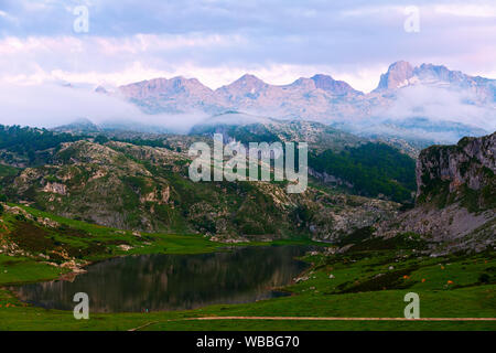 Majestic summer mountain landscape with highland lake at dusk, Covadonga, Asturias, Spain Stock Photo