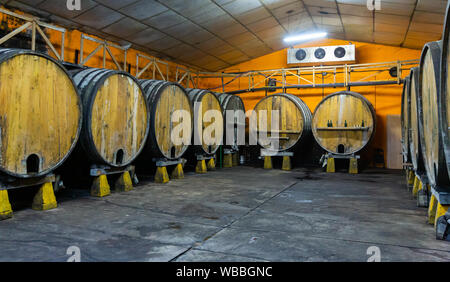 Wooden barrels in rows at contemporary cider actory. Asturias. Spain Stock Photo
