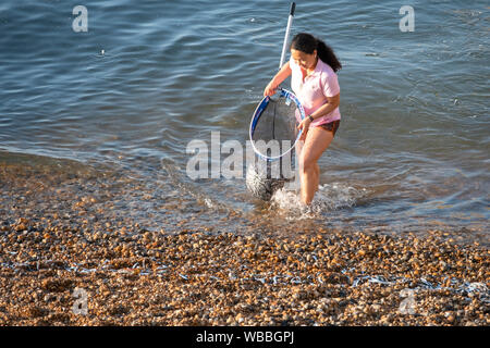 Hastings, East Sussex, UK. 26th August 2019. On another very hot day in Hastings a girl scoops up huge net fulls of whitebait driven onshore by mackerel chasing them into the shallows. Carolyn Clarke/Alamy Live News Stock Photo