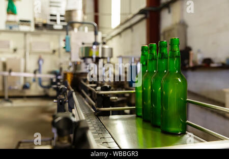 Green bottles with apple cider on bottling line in traditional Asturian Sidreria Stock Photo