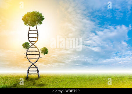 DNA is a natural tree background style. Stock Photo