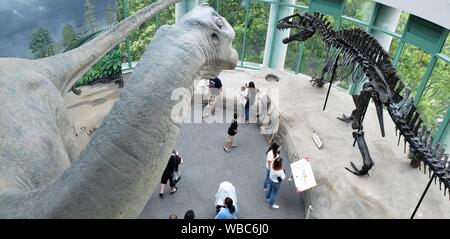 Visitors exploring dinosaur exhibits in the interior of  Museum of Natural Sciences, Raleigh USA Stock Photo