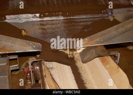 Factory packing of the final tea produce Stock Photo