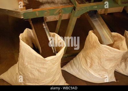 Factory packing of the final tea produce Stock Photo