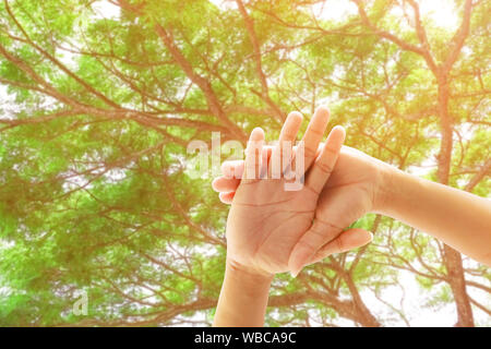 young people joining hands together in nature background. Concept unity and teamwork Stock Photo