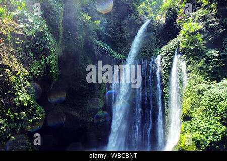 Air Terjun Tiu Kelep waterfall in lush rainforest near Rinjani, Senaru, Lombok, Indonesia, Southeast Asia Stock Photo