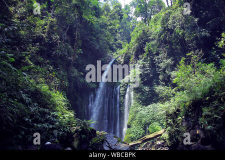 Air Terjun Tiu Kelep waterfall in lush rainforest near Rinjani, Senaru, Lombok, Indonesia, Southeast Asia Stock Photo