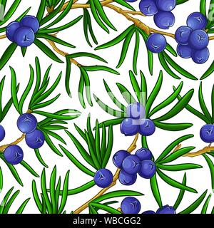juniper vector pattern on white background Stock Vector