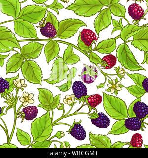 boysenberry vector pattern on white background Stock Vector