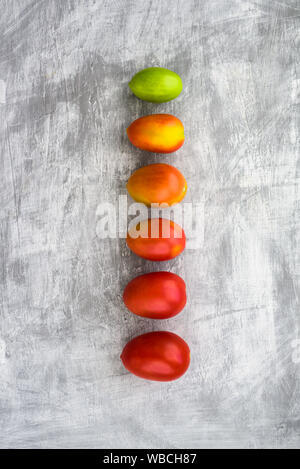 Green, yellow and red plum tomatoes in line on grey background. Different colors, gradient Stock Photo
