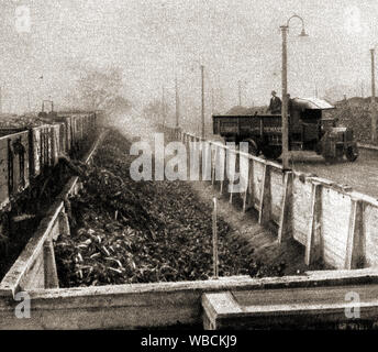 The English sugar beet industry - A 1920's press picture of English sugar beet production (Unloading beet at Newark on Trent). Large scale production began after WWI   following war-time shortages of imported cane sugar.  In the 1920's there were around 20 commercial factories  processing beet sugar. Stock Photo