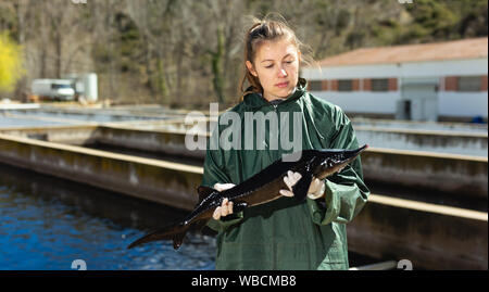 Woman Shooting Fish Stock Photo