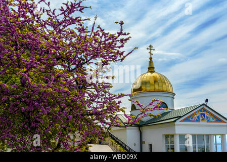 The dome of the Church against the Judah ’ s Tree Stock Photo