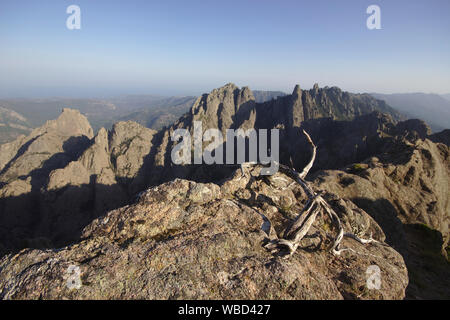 Aiguilles de Bavella from Punta Velaco, evening, France, Corsica Stock Photo