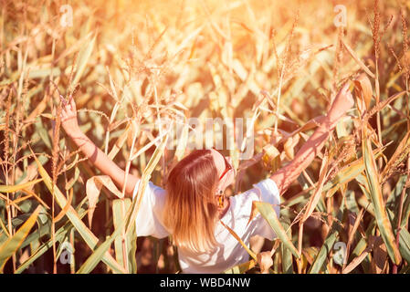 Young woman in the corn field Stock Photo