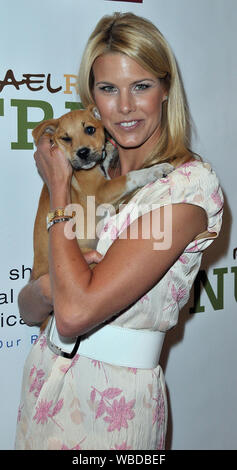WESTBURY, NY- JUNE 03:  Beth Stern,  is honored by the North Shore Animal League for her humanitarian work with animals, on June 3, 2009 in Long Island NY  People:   Beth Stern Stock Photo