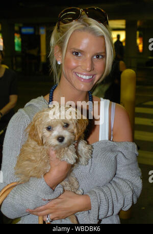 que le paso a jessica simpson perro daisy