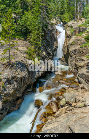 Chasm Falls - Vertical - A Summer view of Chasm Falls, Rocky Mountain National Park, CO, USA. Stock Photo