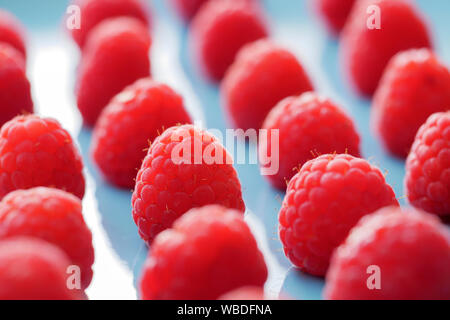 Close up of red raspsberry in a blue plate Stock Photo
