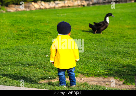 A small child in a yellow jacket is standing on a green lawn on a farm and is looking at a big black goose, spring, autumn Stock Photo