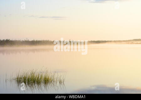 Foggy lake in Canada during sunrise. Stock Photo